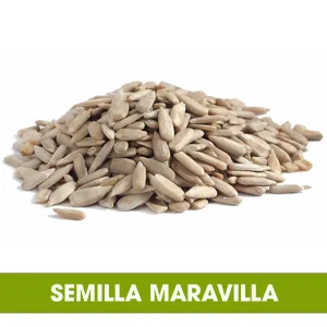 Semilla Maravilla