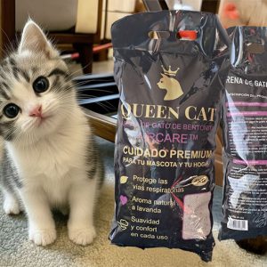 Arena Queen Cat 100 kg